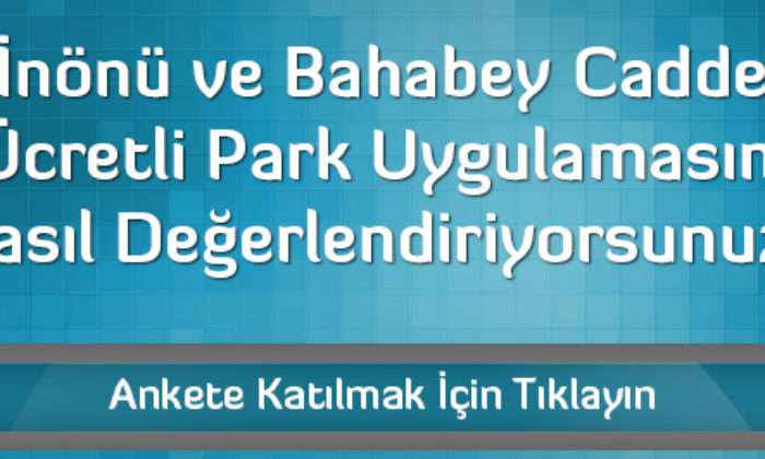 Caddede Ücretli Park Uygulamasını Nasıl Değerlendiriyorsunuz?