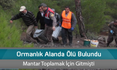 Ormanlık Alanda Ölü Bulundu