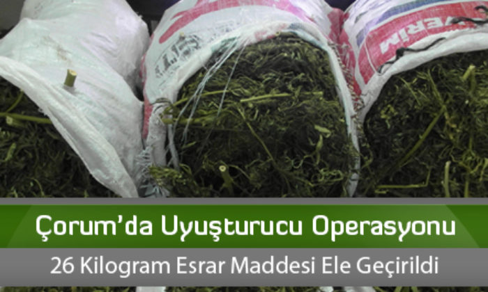 Çorum’da Uyuşturucu Operasyonu