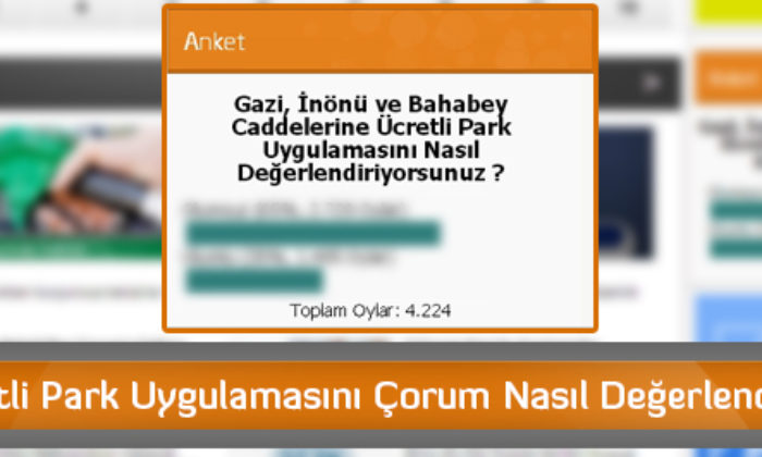 Ücretli Park Uygulamasını Çorum Nasıl Değerlendirdi?