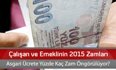 Çalışan ve Emeklinin 2015 Zamları