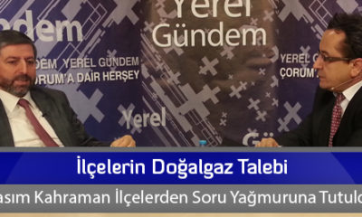 İlçelerin Doğalgaz Talebi