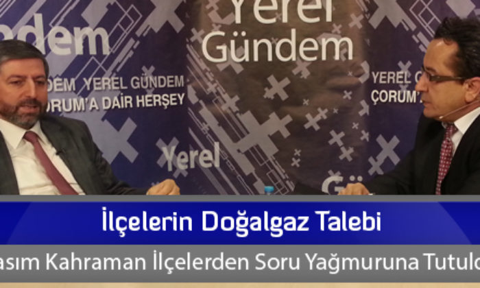 İlçelerin Doğalgaz Talebi