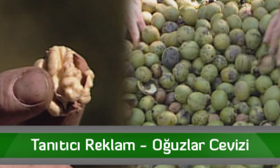Tanıtıcı Reklam – Oğuzlar Cevizi