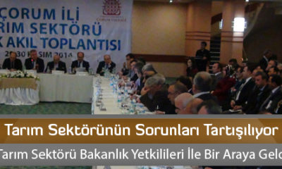 Tarım Sektörünün Sorunları Tartışılıyor