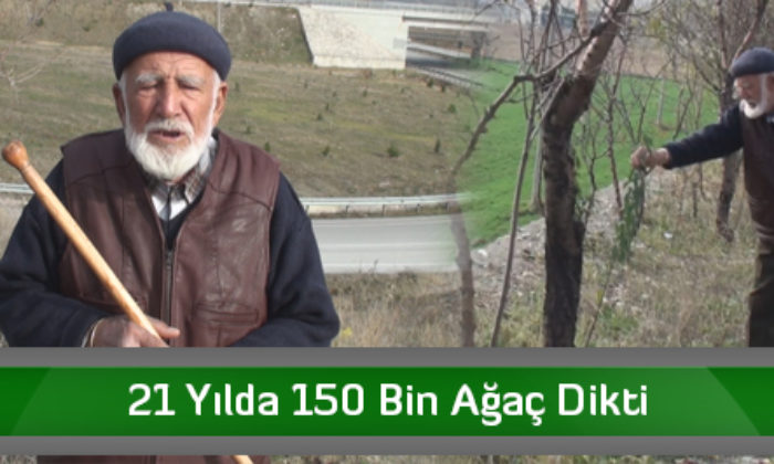 21 Yılda 150 Bin Ağaç Dikti