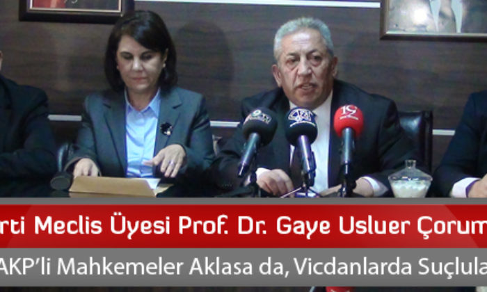CHP Parti Meclis Üyesi Prof. Dr. Gaye Usluer Çorum’a Geldi