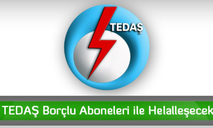 TEDAŞ Borçlu Aboneleri ile Helalleşecek