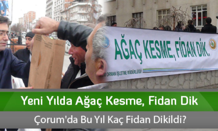 Yeni Yılda Ağaç Kesme, Fidan Dik