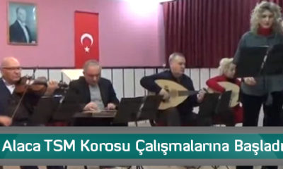 Alaca TSM Korosu Çalışmalarına Başladı