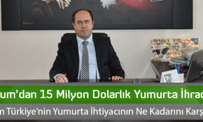 Çorum’dan 15 Milyon Dolarlık Yumurta İhracatı