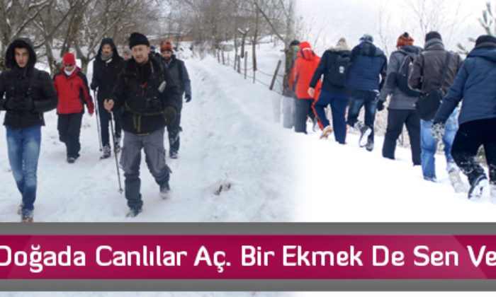 Doğada Canlılar Aç. Bir Ekmek De Sen Ver