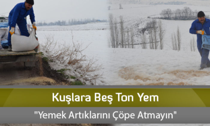 Kuşlara Beş Ton Yem