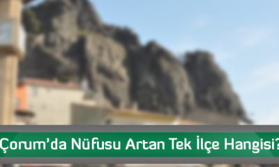 Çorum’da Nüfusu Artan Tek İlçe Hangisi?