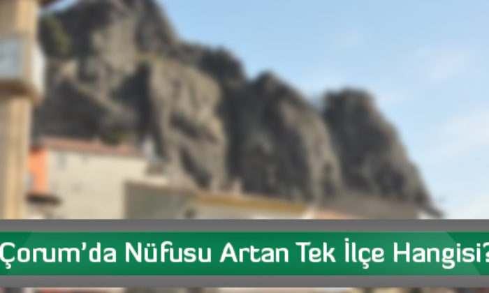 Çorum’da Nüfusu Artan Tek İlçe Hangisi?