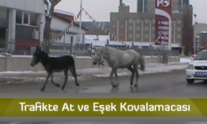 Trafikte At ve Eşek Kovalamacası