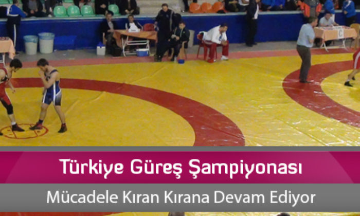 Türkiye Güreş Şampiyonası