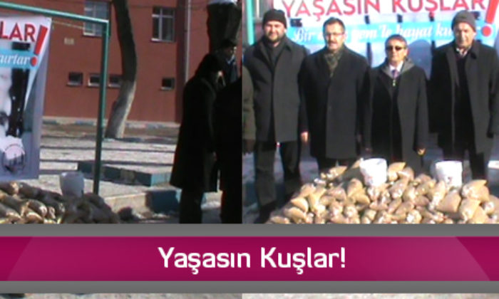 Yaşasın Kuşlar!