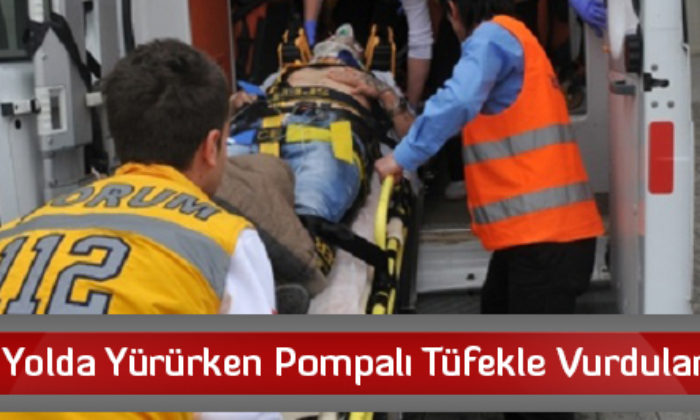 Yolda Yürürken Pompalı Tüfekle Vurdular