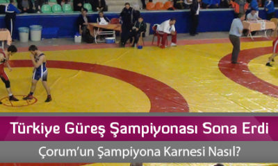 Türkiye Güreş Şampiyonası Sona Erdi