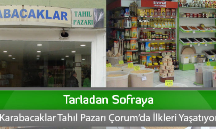 Tarladan Sofraya