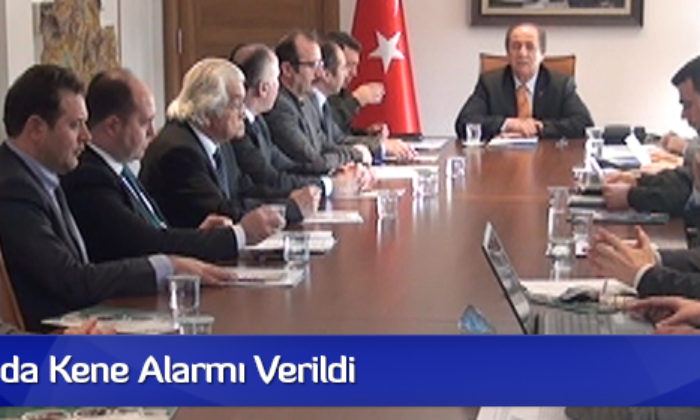 Çorum’da Kene Alarmı Verildi