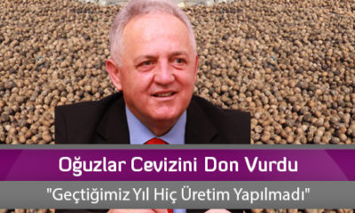Oğuzlar Cevizini Don Vurdu