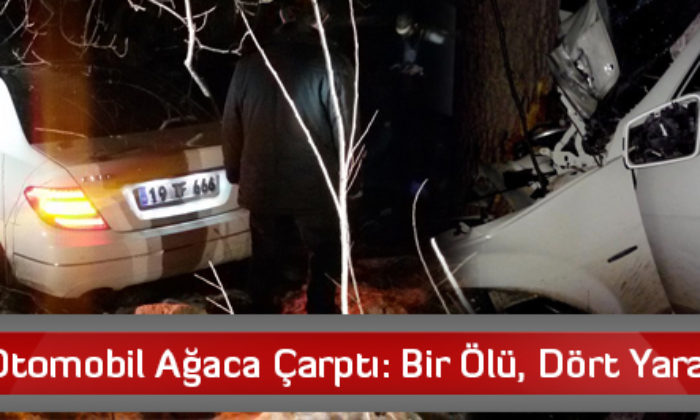 Otomobil Ağaca Çarptı: Bir Ölü, Dört Yaralı