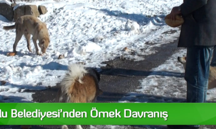 Sungurlu Belediyesi’nden Örnek Davranış