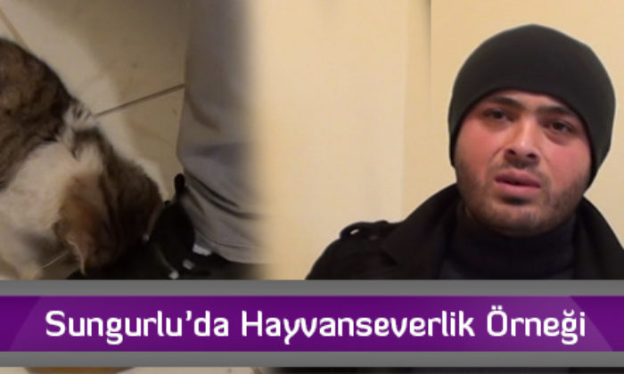 Sungurlu’da Hayvanseverlik Örneği