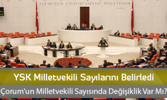 YSK Milletvekili Sayılarını Belirledi