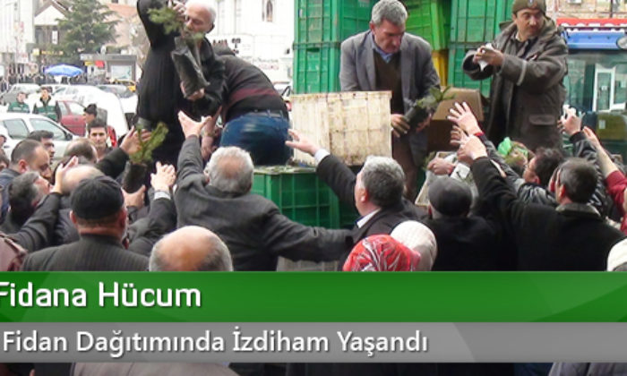 Bedava Fidana Hücum