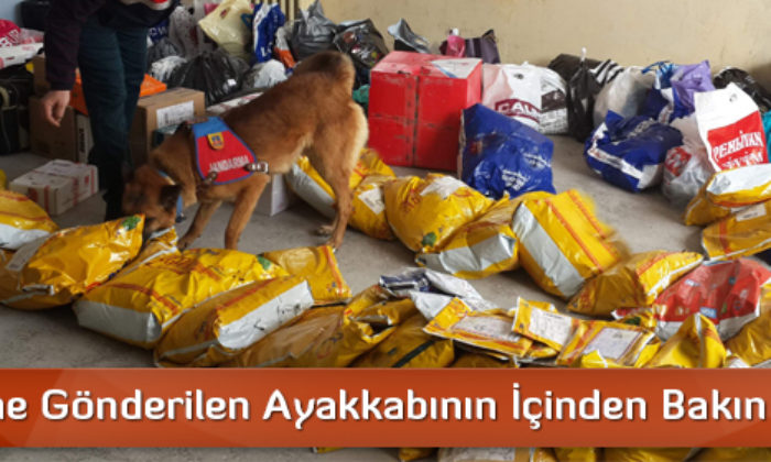 Cezaevine Gönderilen Ayakkabının İçinden Bakın Ne Çıktı
