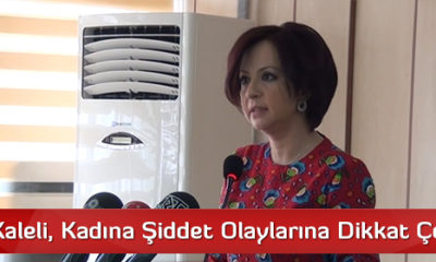 CHP’li Kaleli, Kadına Şiddet Olaylarına Dikkat Çekti