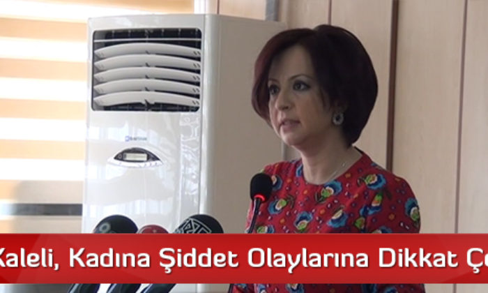 CHP’li Kaleli, Kadına Şiddet Olaylarına Dikkat Çekti