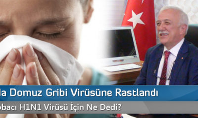Çorum’da Domuz Gribi Virüsüne Rastlandı