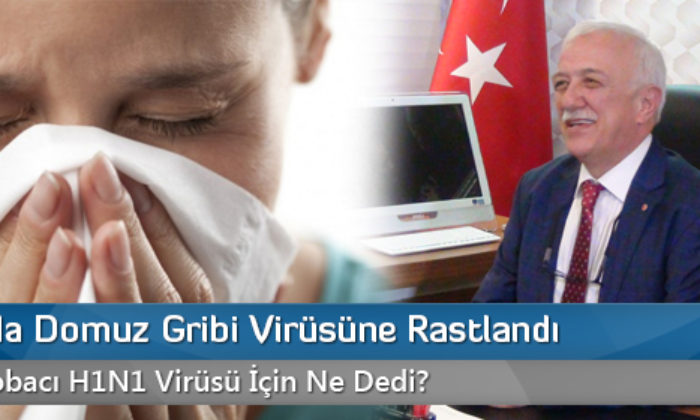 Çorum’da Domuz Gribi Virüsüne Rastlandı