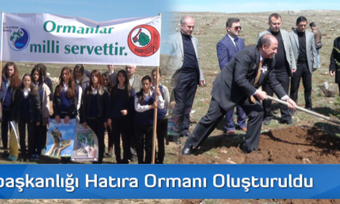 Cumhurbaşkanlığı Hatıra Ormanı Oluşturuldu