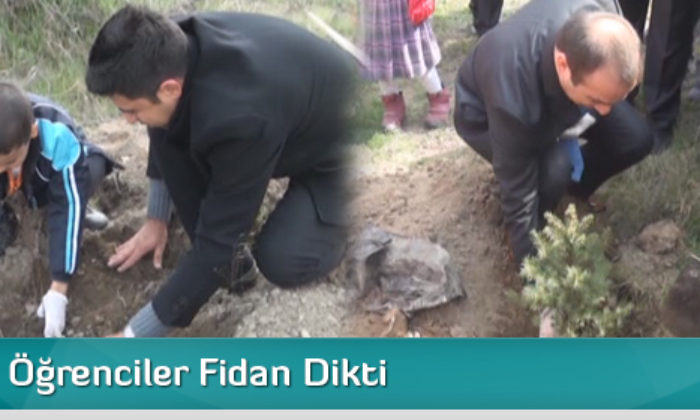 Kargı’da Öğrenciler Fidan Dikti