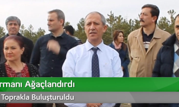 Maliye Ormanı Ağaçlandırdı