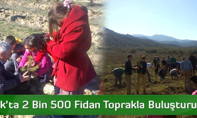 Osmancık’ta 2 Bin 500 Fidan Toprakla Buluşturuluyor