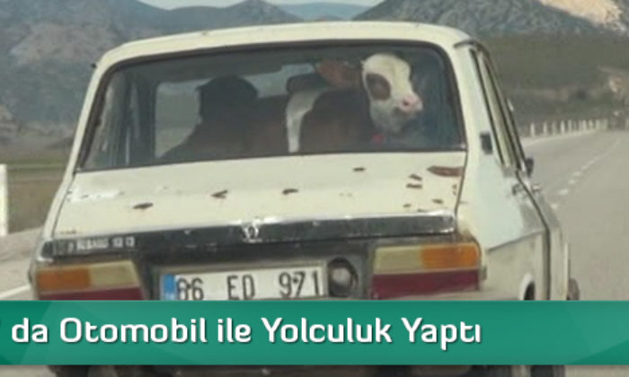 “Sarıkız” da Otomobil ile Yolculuk Yaptı