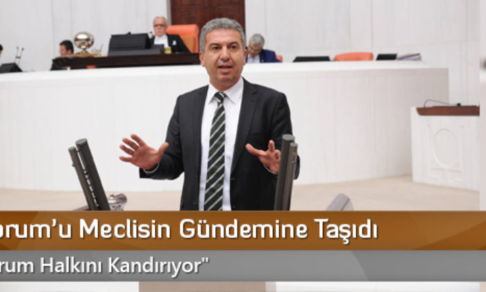 Köse, Çorum’u Meclisin Gündemine Taşıdı