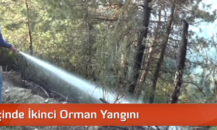 3 Gün İçinde İkinci Orman Yangını