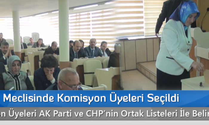 Belediye Meclisinde Komisyon Üyeleri Seçildi