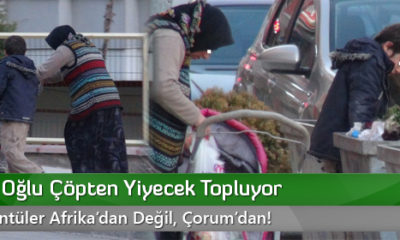 Bu Görüntüler Afrika’dan Değil, Çorum’dan!