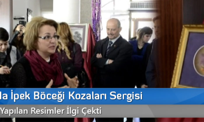 Çankırı’da İpek Böceği Kozaları Sergisi