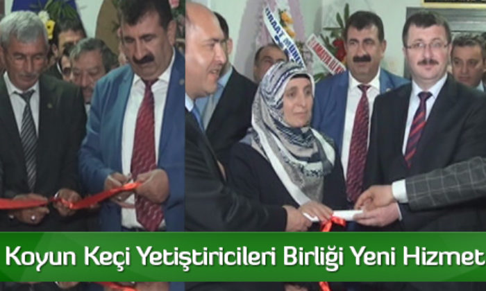 Damızlık Koyun Keçi Yetiştiricileri Birliği Yeni Hizmet Bürosu