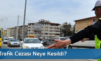 En Çok Trafik Cezası Neye Kesildi?