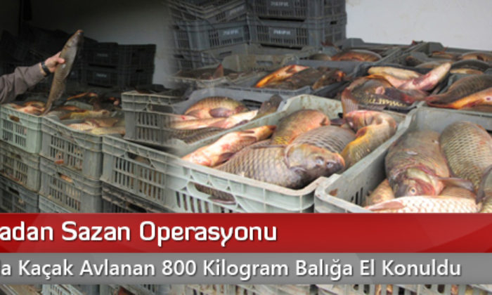 Jandarmadan Sazan Operasyonu